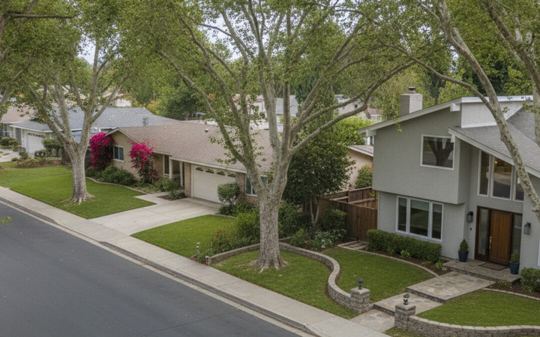 Managing Water Utilities in Leisure Village, Camarillo, CA